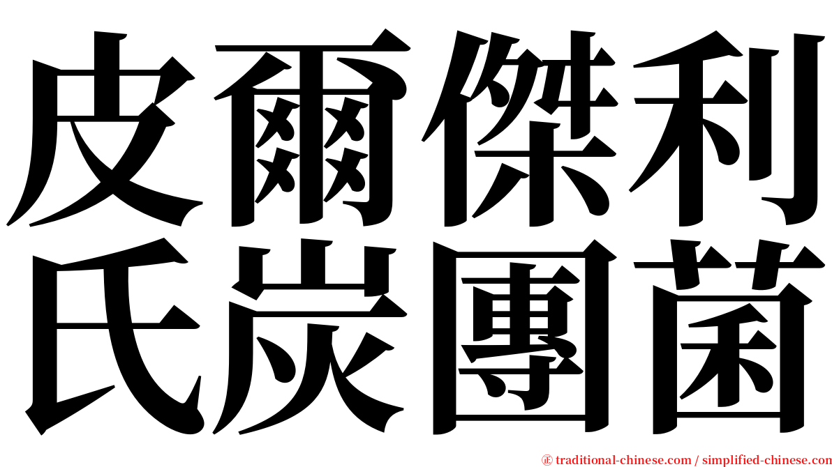 皮爾傑利氏炭團菌 serif font