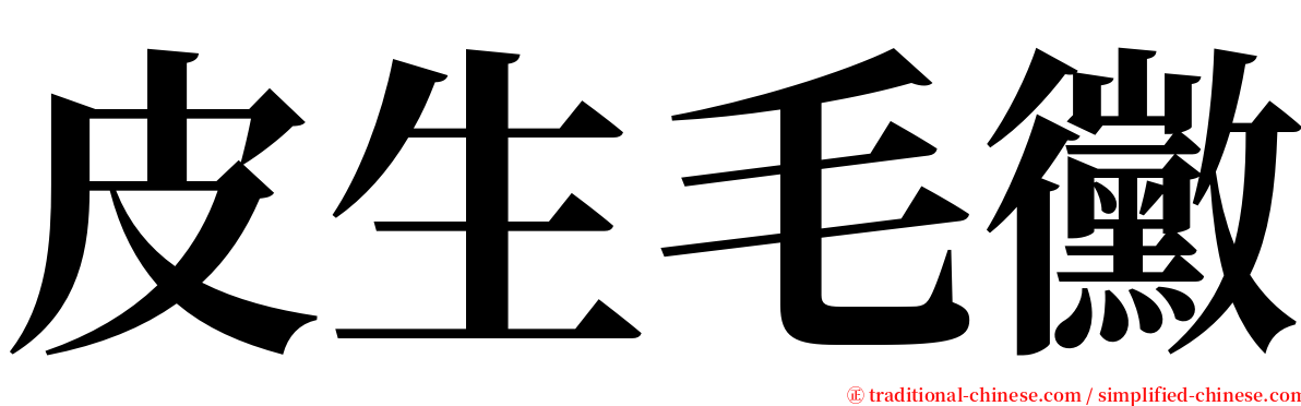 皮生毛黴 serif font