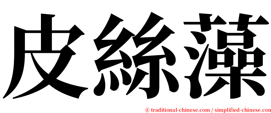 皮絲藻 serif font