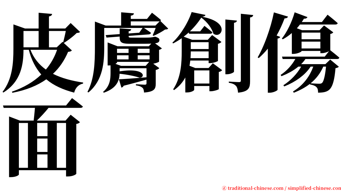 皮膚創傷面 serif font