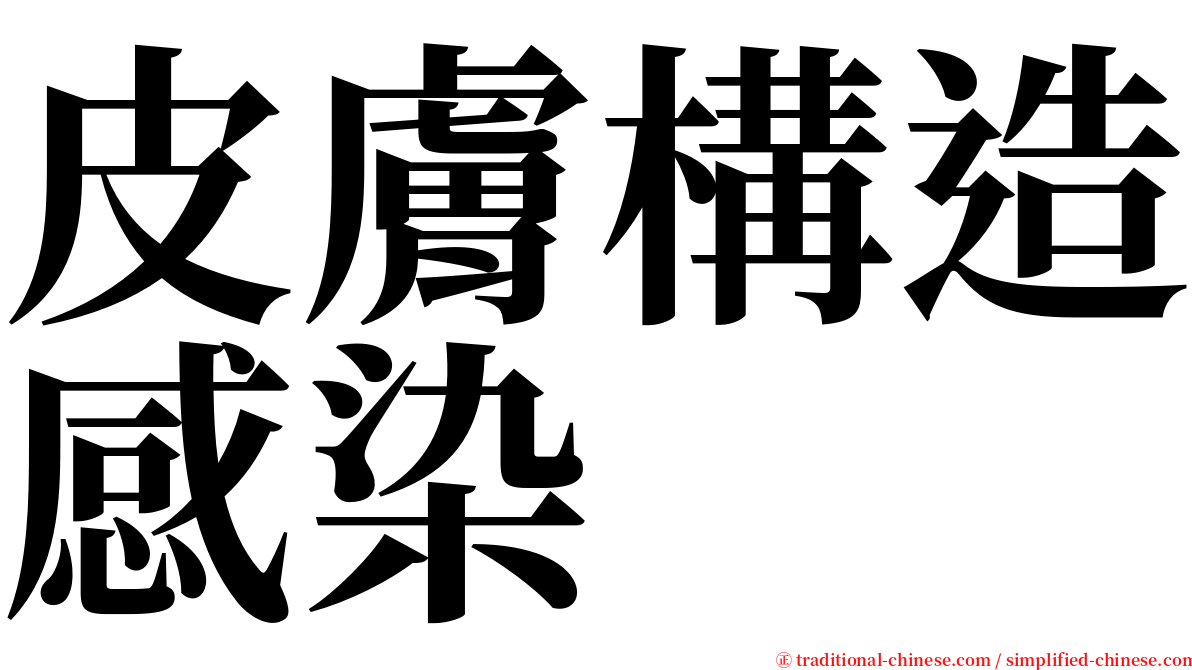 皮膚構造感染 serif font