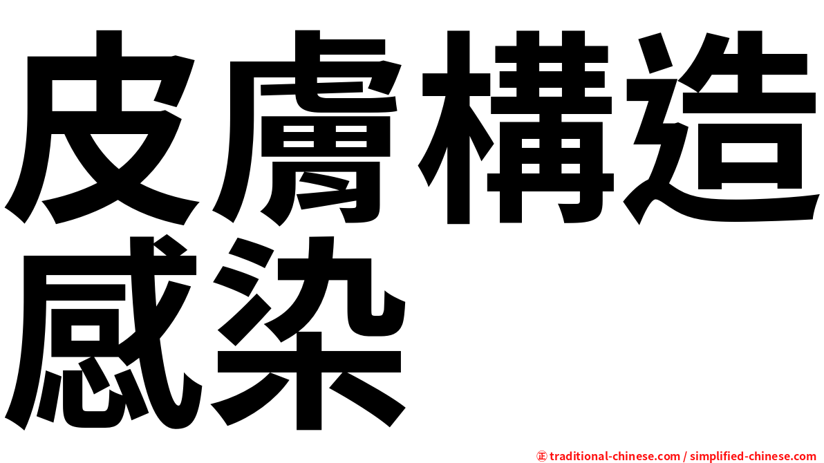 皮膚構造感染