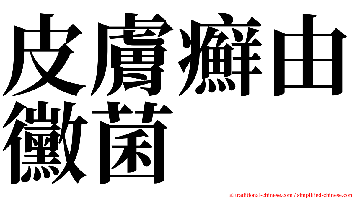 皮膚癬由黴菌 serif font