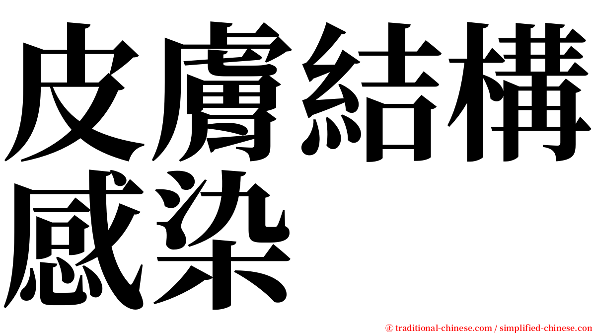 皮膚結構感染 serif font