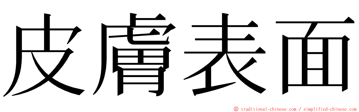 皮膚表面 ming font