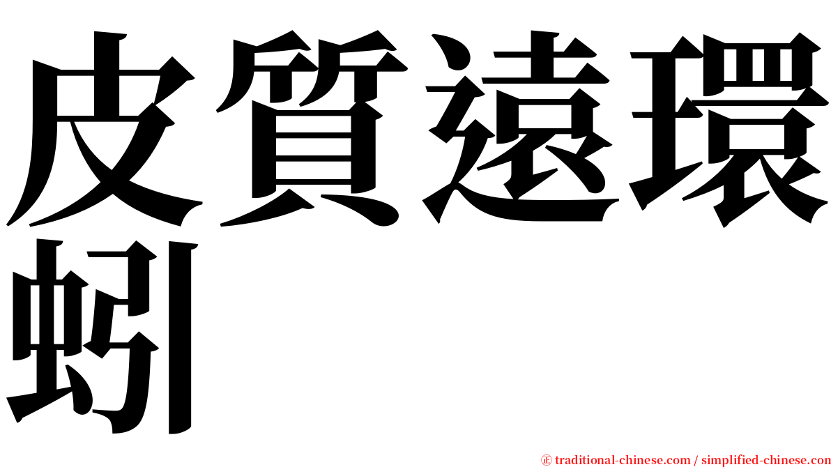 皮質遠環蚓 serif font