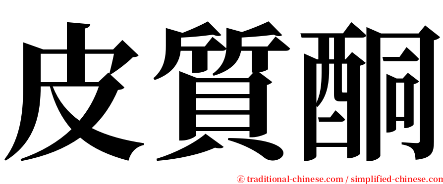 皮質酮 serif font