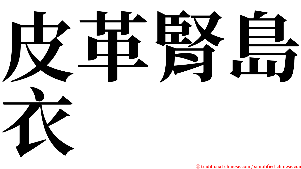 皮革腎島衣 serif font