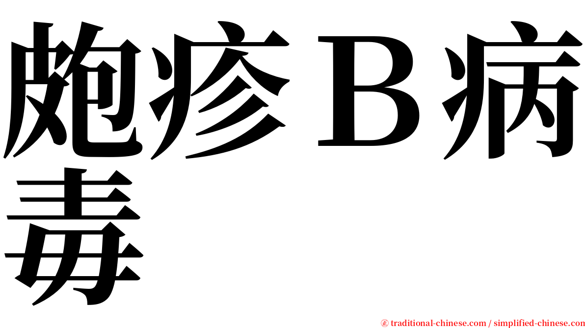 皰疹Ｂ病毒 serif font