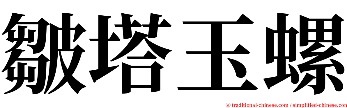 皺塔玉螺 serif font