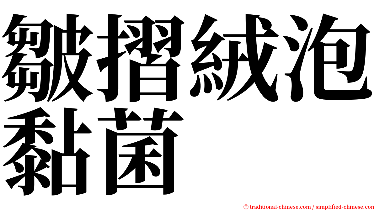 皺摺絨泡黏菌 serif font