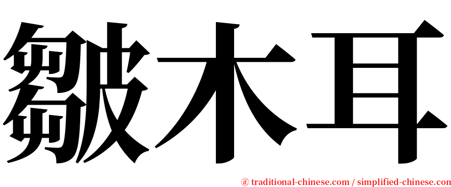 皺木耳 serif font