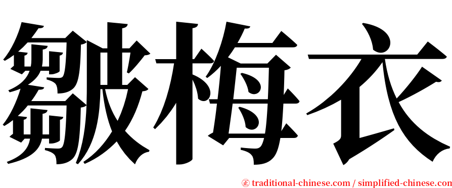 皺梅衣 serif font