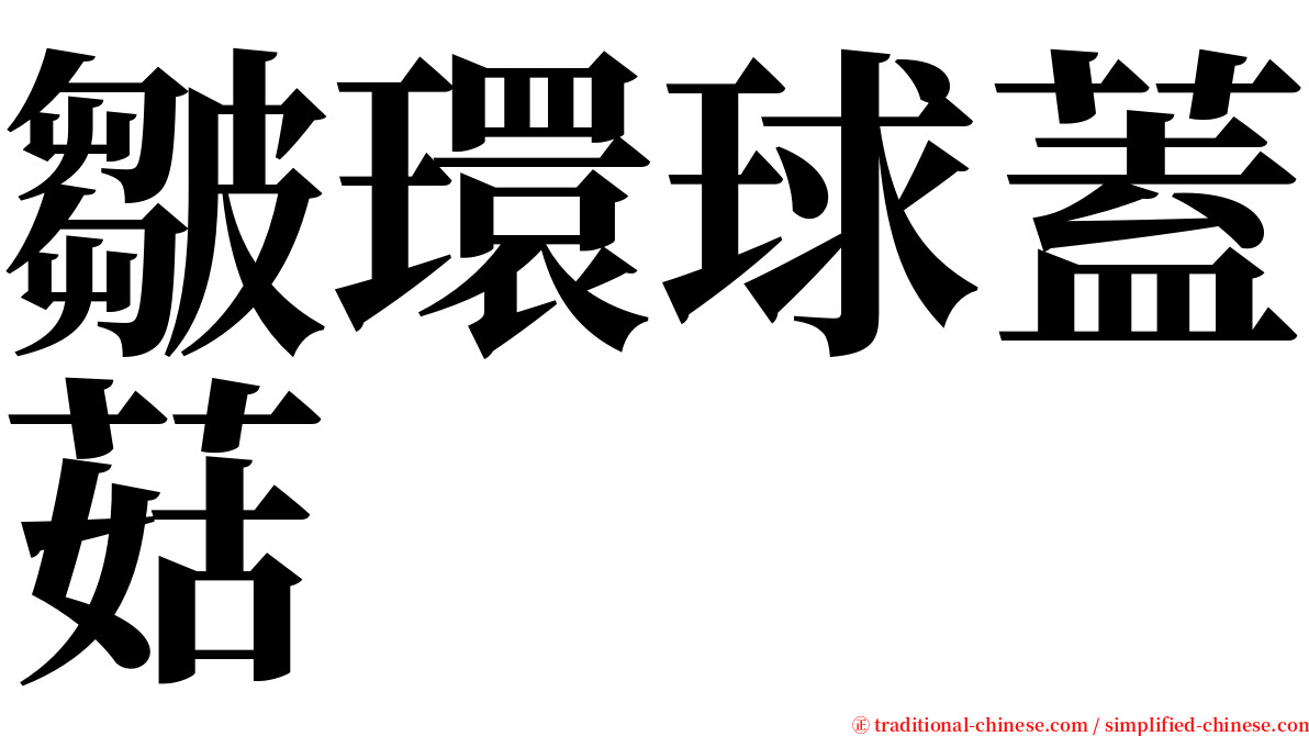 皺環球蓋菇 serif font