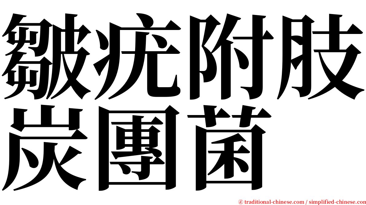 皺疣附肢炭團菌 serif font