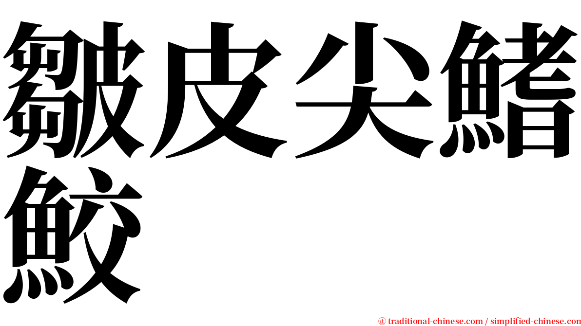 皺皮尖鰭鮫 serif font