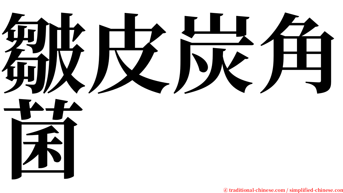 皺皮炭角菌 serif font