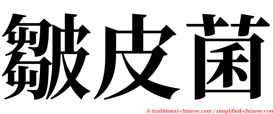 皺皮菌 serif font