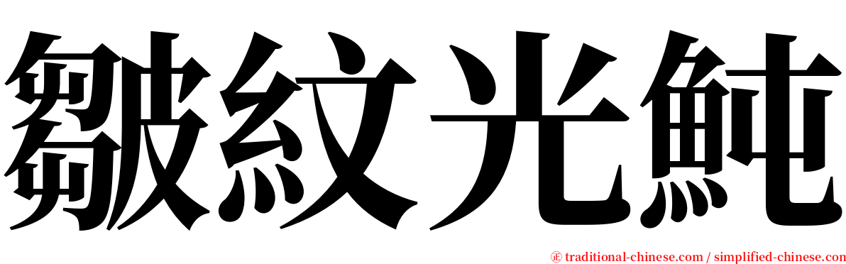 皺紋光魨 serif font