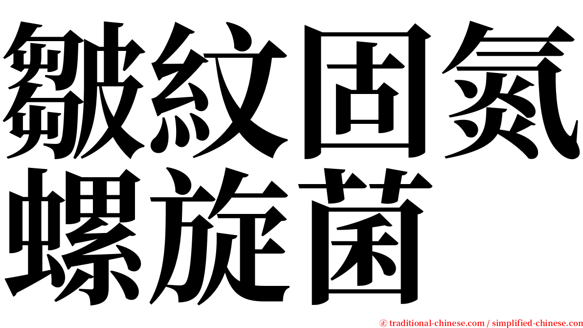 皺紋固氮螺旋菌 serif font