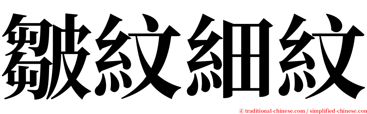 皺紋細紋 serif font