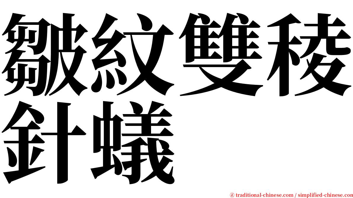 皺紋雙稜針蟻 serif font