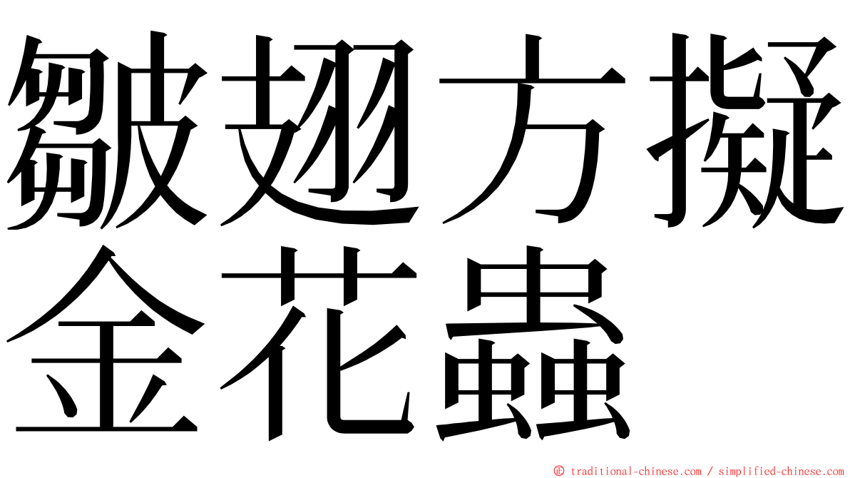 皺翅方擬金花蟲 ming font