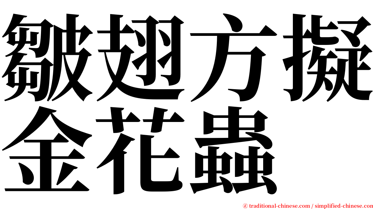 皺翅方擬金花蟲 serif font