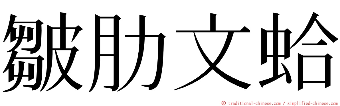 皺肋文蛤 ming font