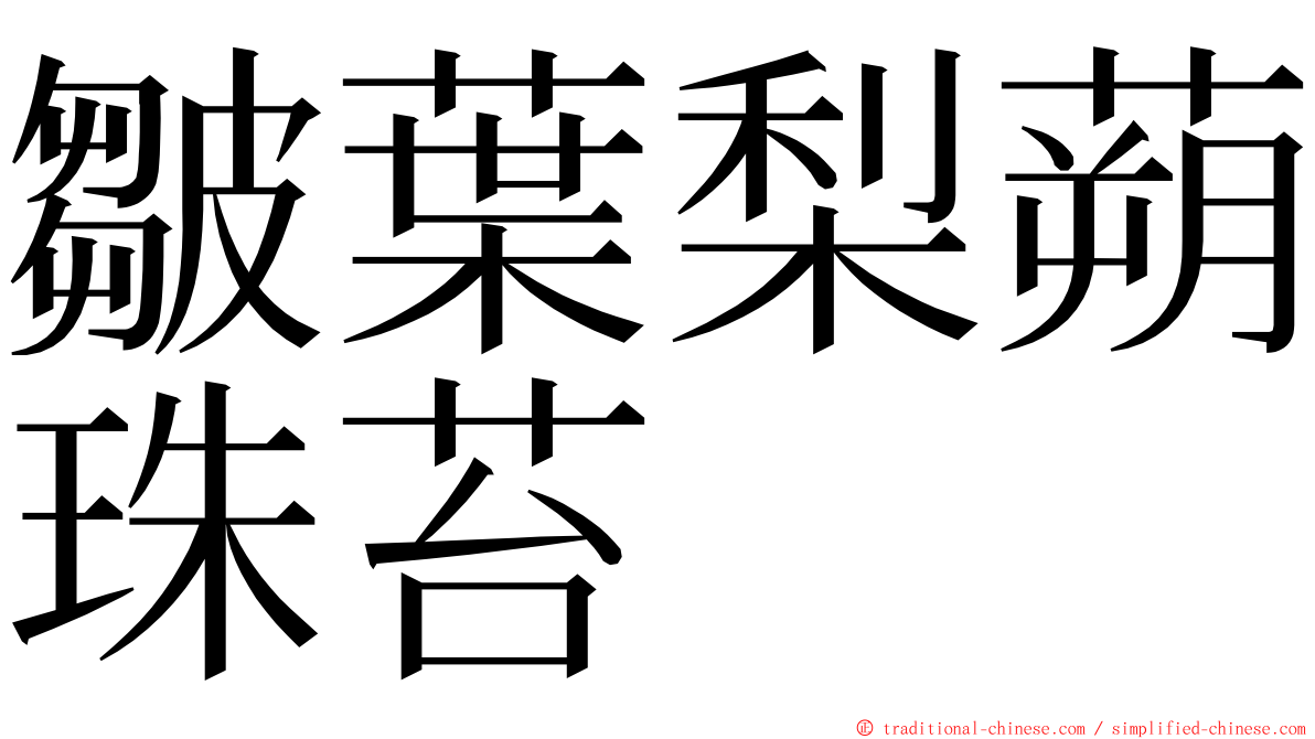 皺葉梨蒴珠苔 ming font