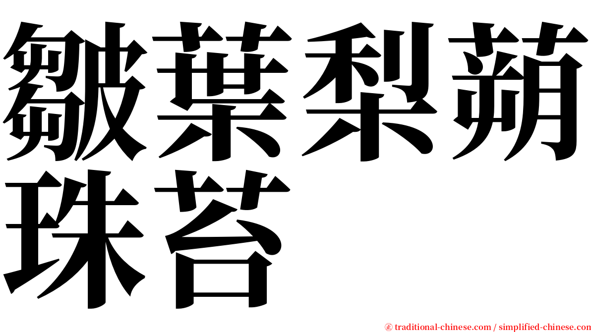 皺葉梨蒴珠苔 serif font