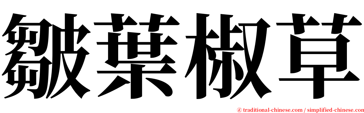 皺葉椒草 serif font