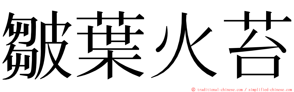皺葉火苔 ming font