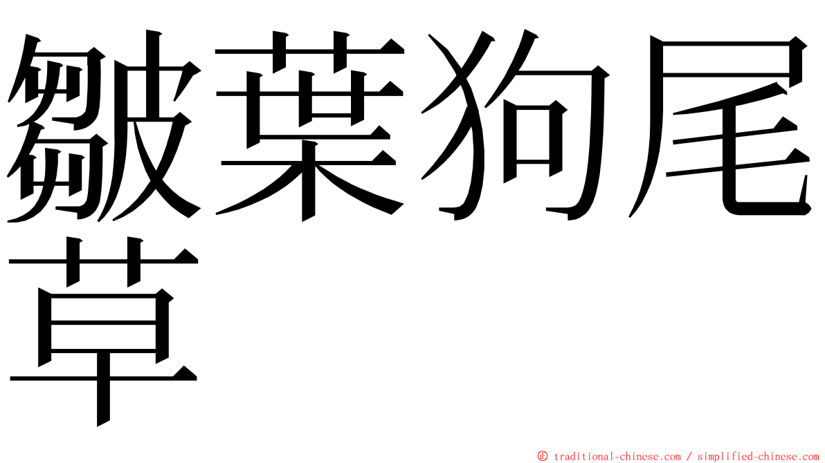 皺葉狗尾草 ming font