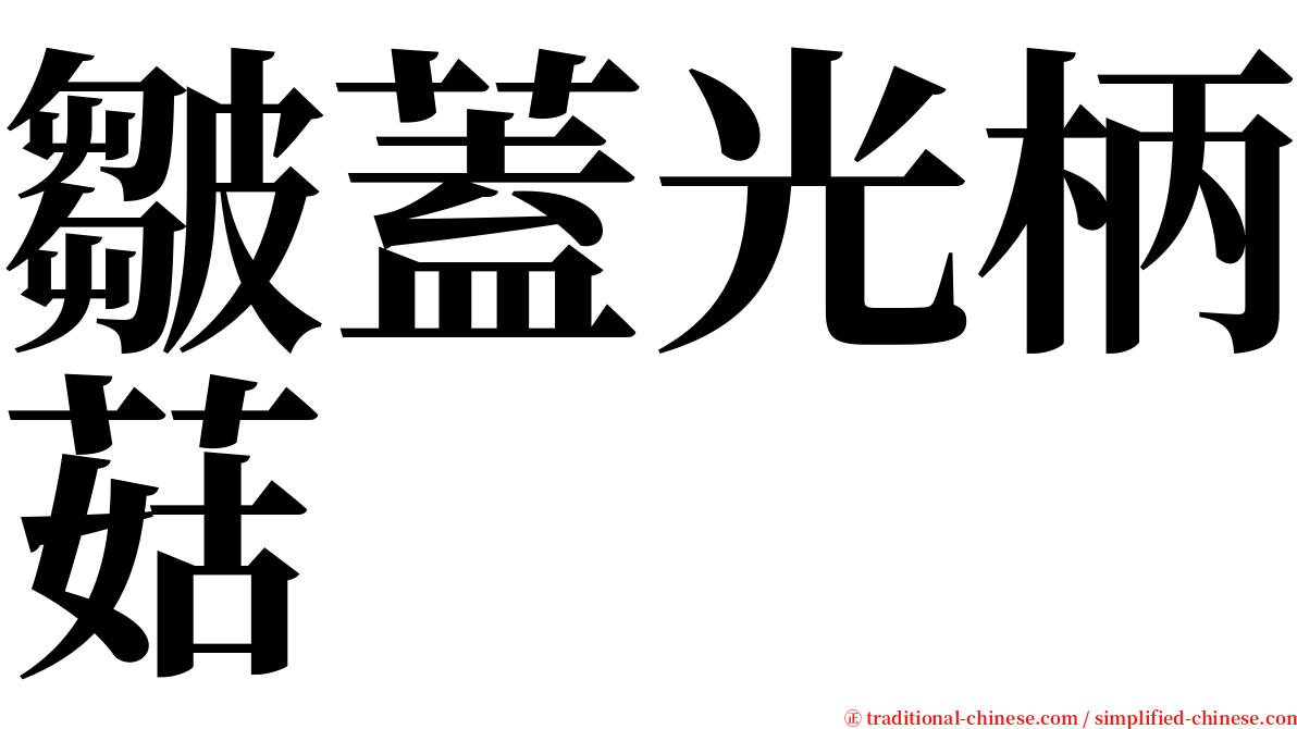 皺蓋光柄菇 serif font