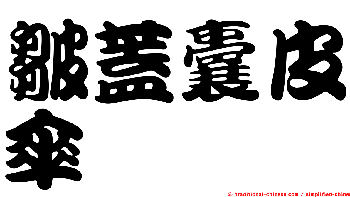 皺蓋囊皮傘