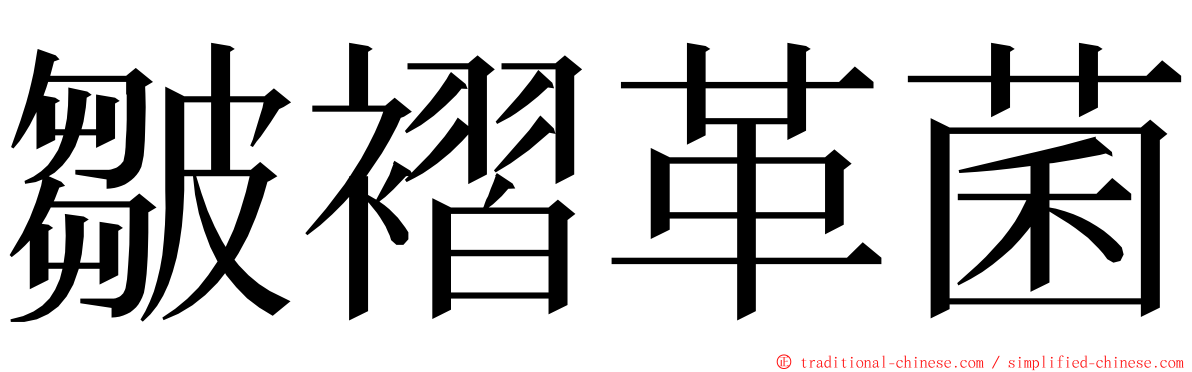 皺褶革菌 ming font