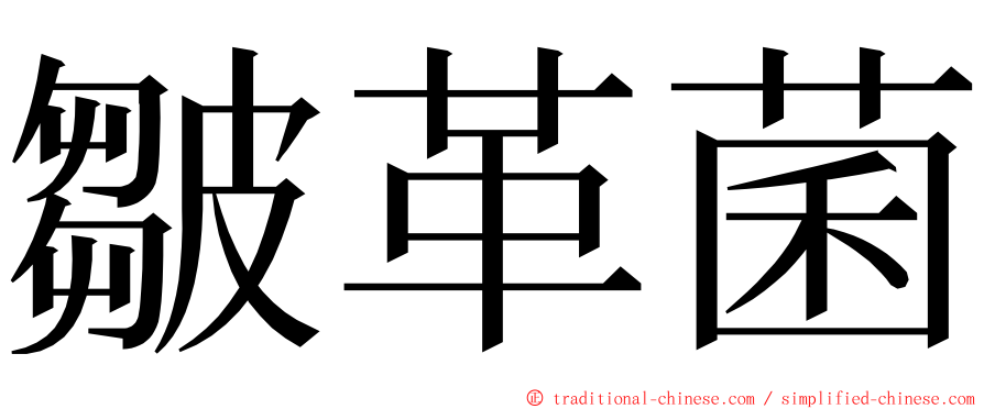 皺革菌 ming font