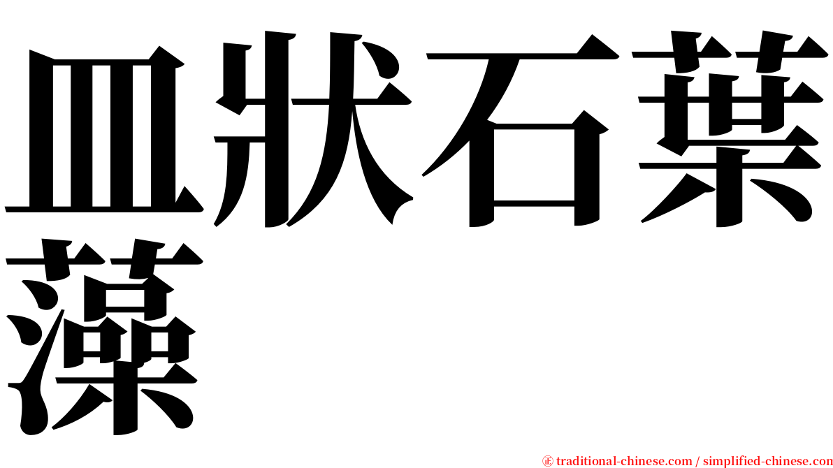 皿狀石葉藻 serif font