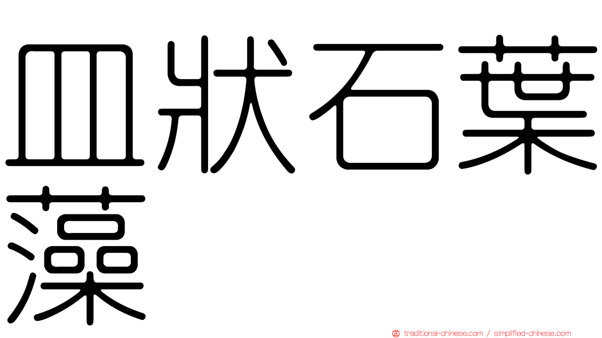 皿狀石葉藻