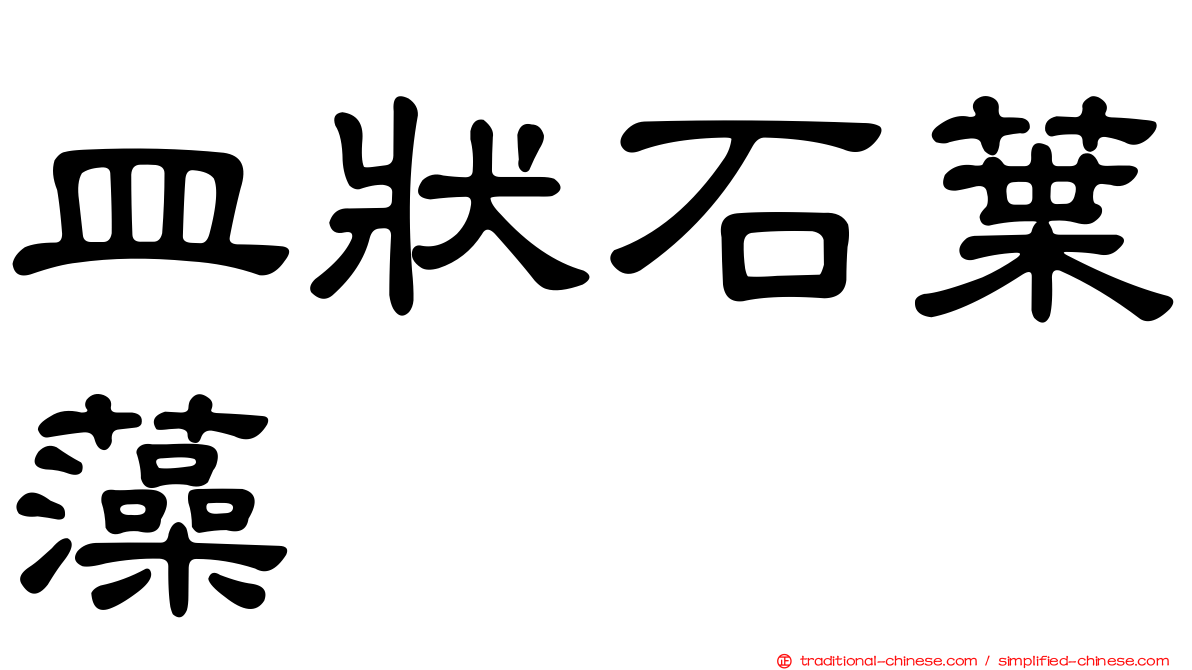 皿狀石葉藻