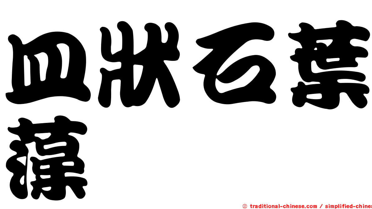 皿狀石葉藻