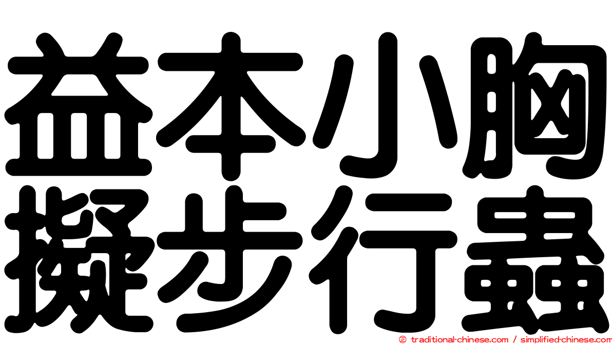 益本小胸擬步行蟲