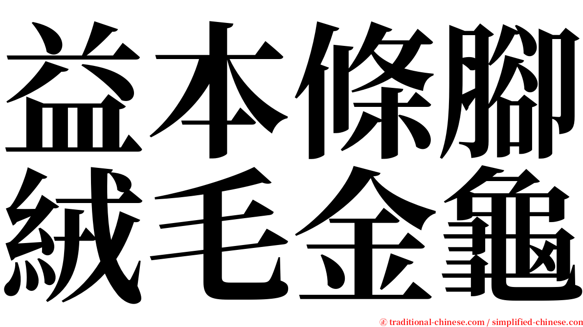 益本條腳絨毛金龜 serif font