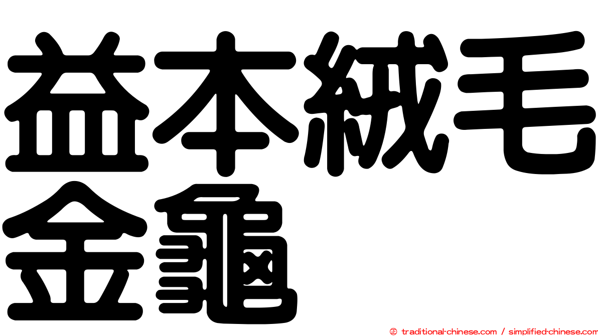 益本絨毛金龜