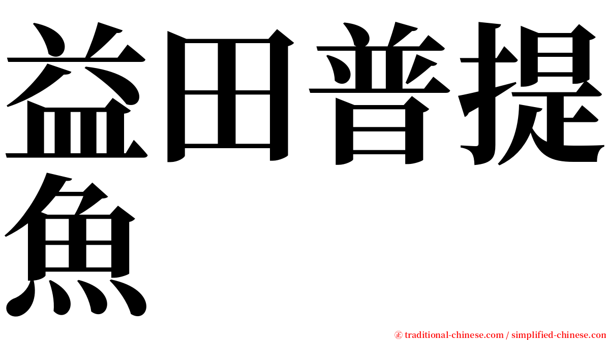 益田普提魚 serif font