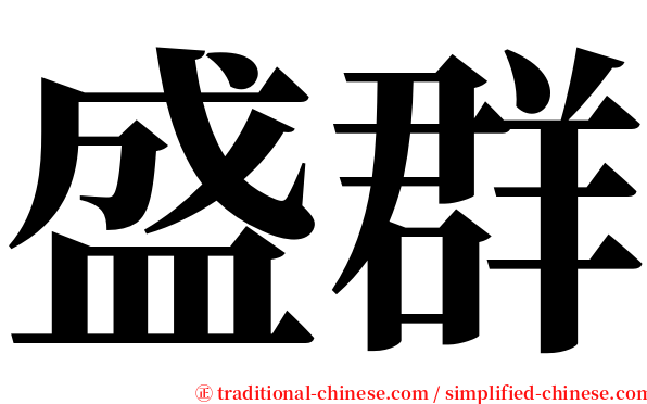 盛群 serif font