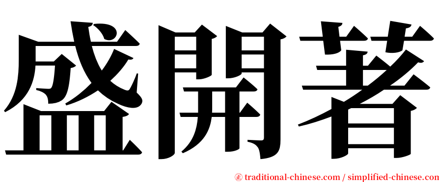 盛開著 serif font