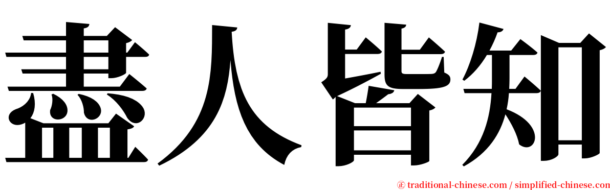 盡人皆知 serif font