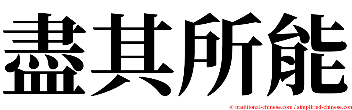 盡其所能 serif font